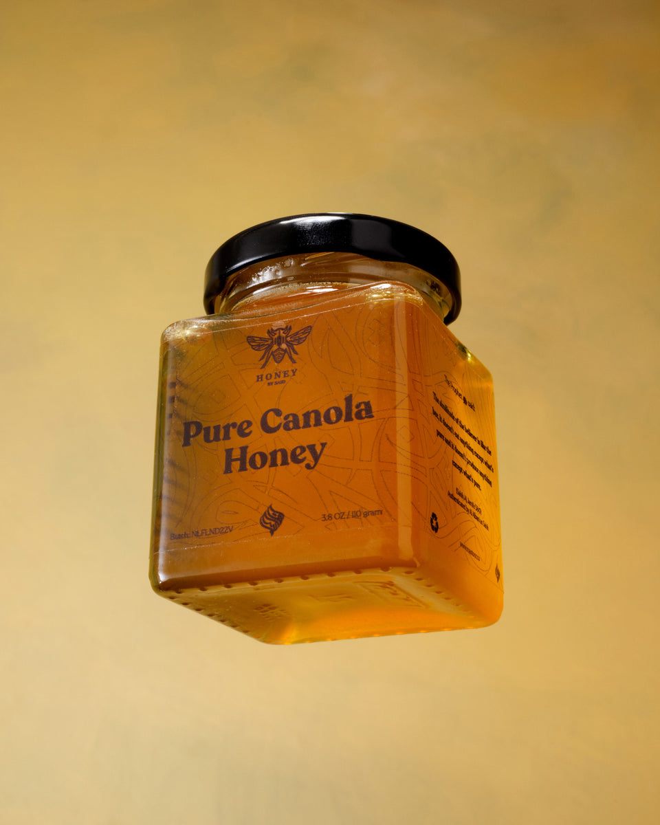 Pure Canola Honey T-shirt - Black