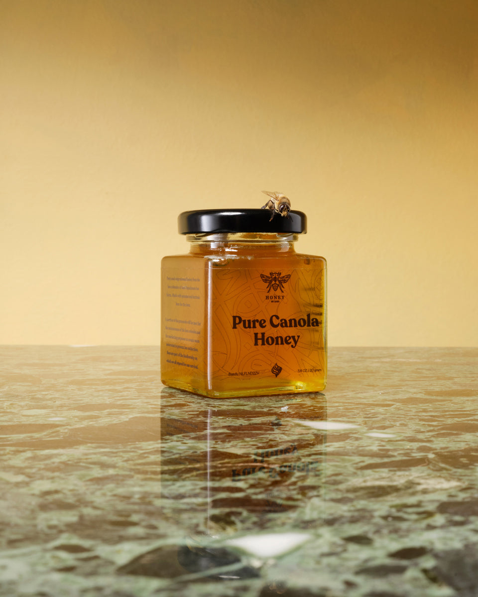 Pure Canola Honey T-shirt - Black