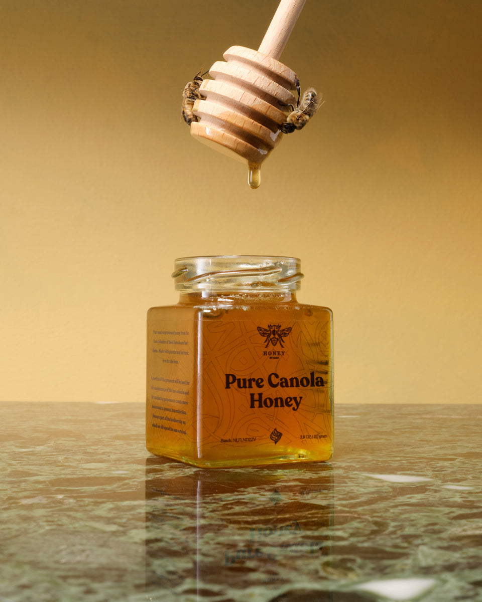 Pure Canola Honey T-shirt - Black